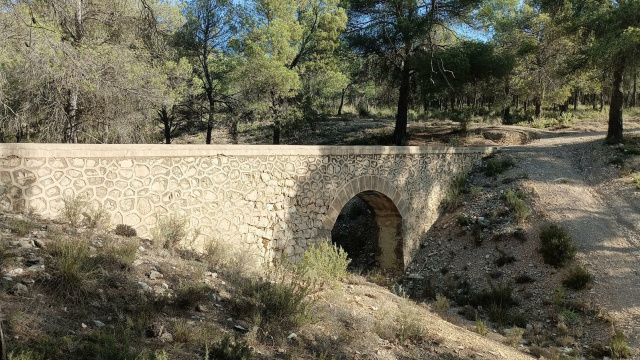 Puente Roque