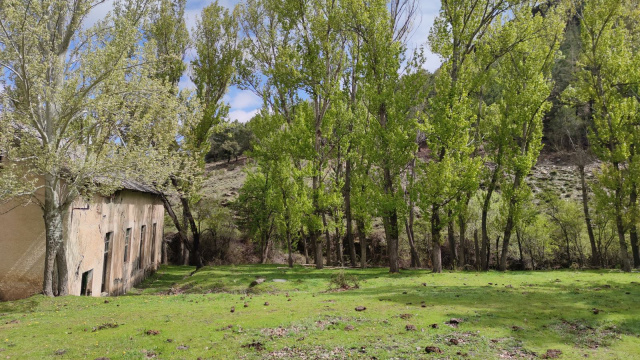 Central del Sabinar.