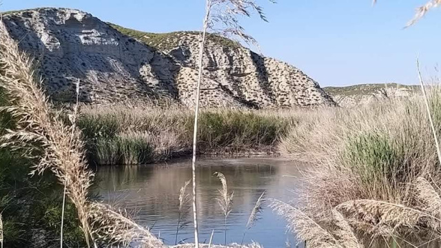 Balsa arroyo del Saladar