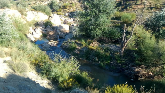 Ruta Diezma - Rio Fardes