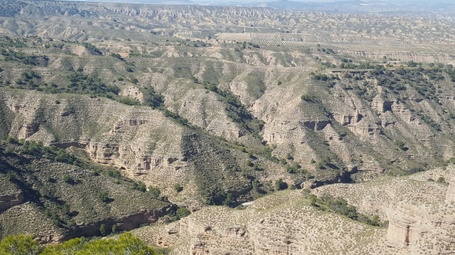 Mirador Monte Pajarillo