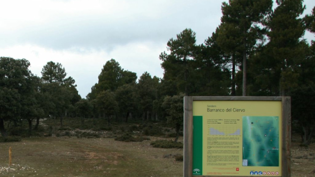 Ruta Barranco Del Ciervo