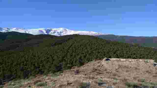 Ruta Ruta Del Castillo De La Reina