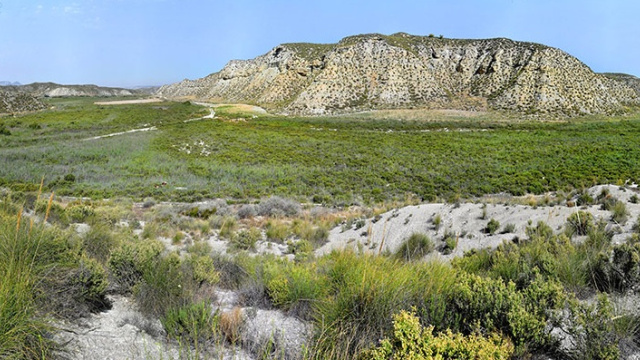 Ruta Humedales De El Margen
