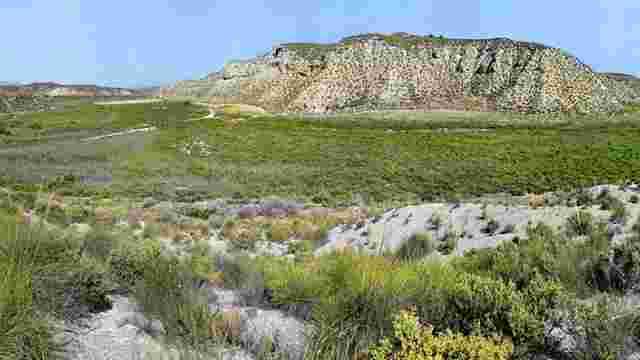 El Margen Wetlands