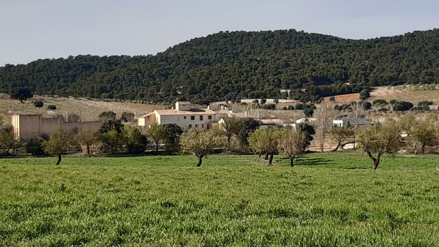 Ruta Saúco-El Madroñal