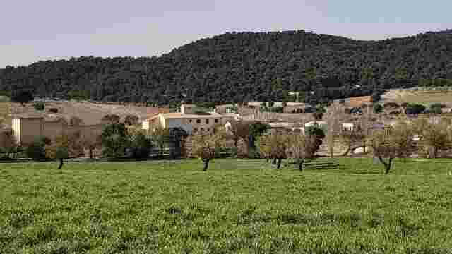 Saúco-El Madroñal