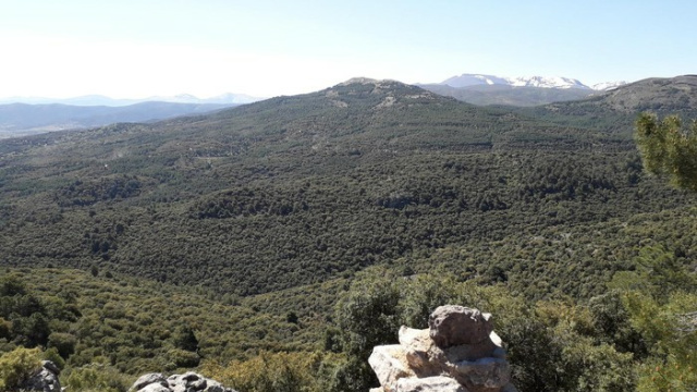 Ruta La Peza Solana Del Gato
