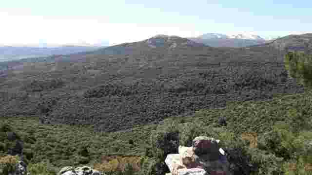 Ruta La Peza Solana Del Gato