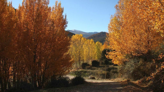 Ruta Río Alhama (Lugros)