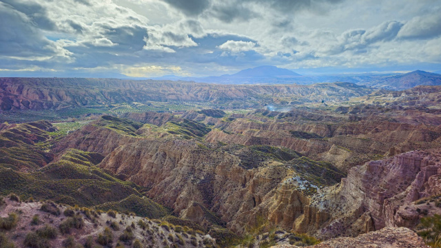 Cárcavas de Fonelas