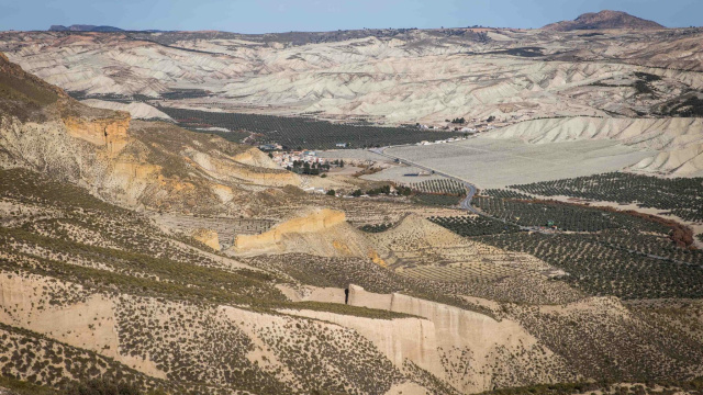 Cárcavas Dehesas de Guadix