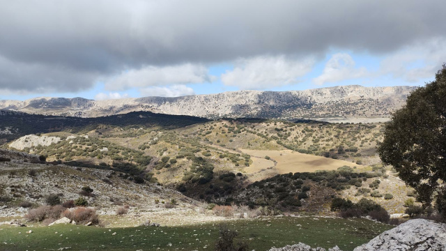 Cerro Gallarín