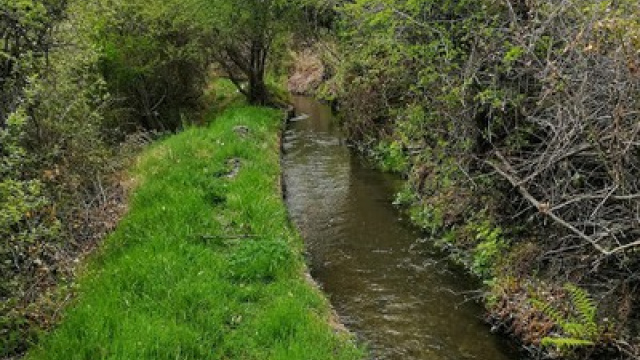 Ruta Acequia De Alcázar Y Casarones