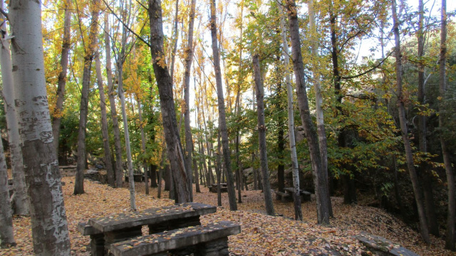Ruta Sendero Al Área Del Río Barro