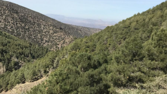 Ruta Las Juntas