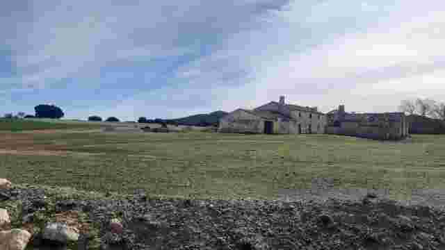 Cortijo del Madroñal