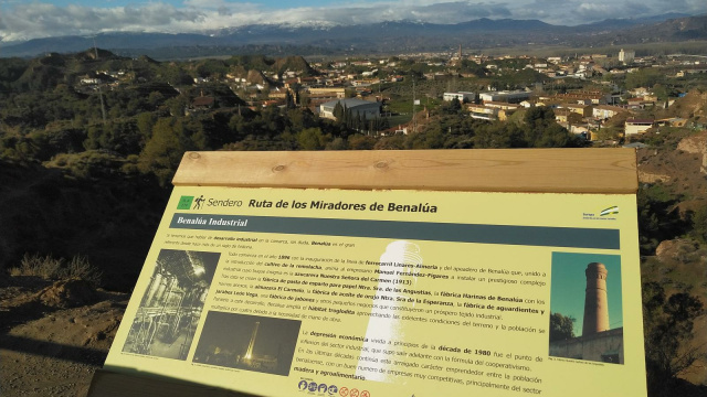 Mirador Benalúa