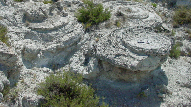 Sismitas de Galera y Castilléjar