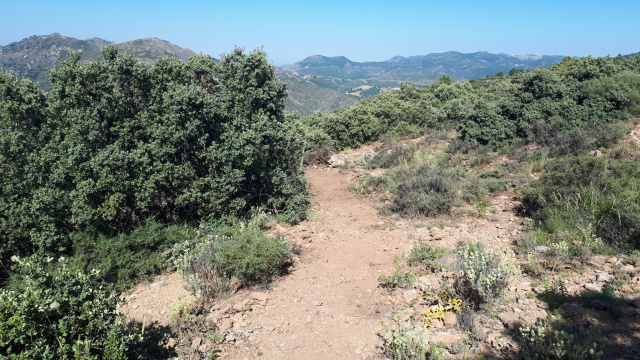 Solana del Gato