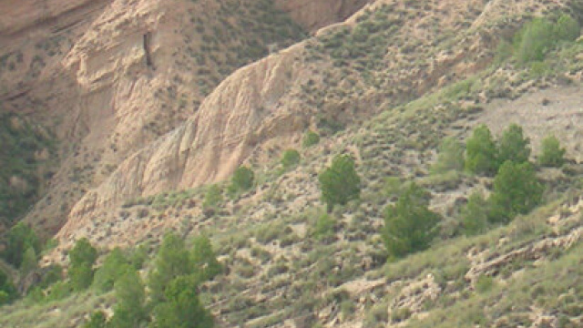 Transición marino-continental Negratín