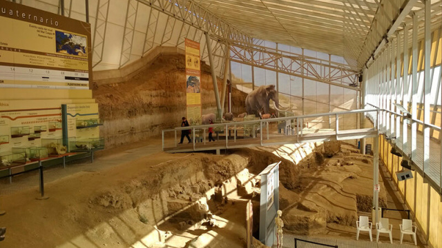 Yacimiento paleontológico Fonelas P-1 (EPVRF)