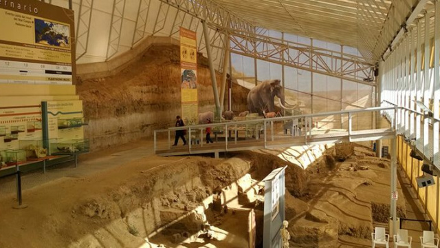 Yacimiento paleontológico Fonelas
